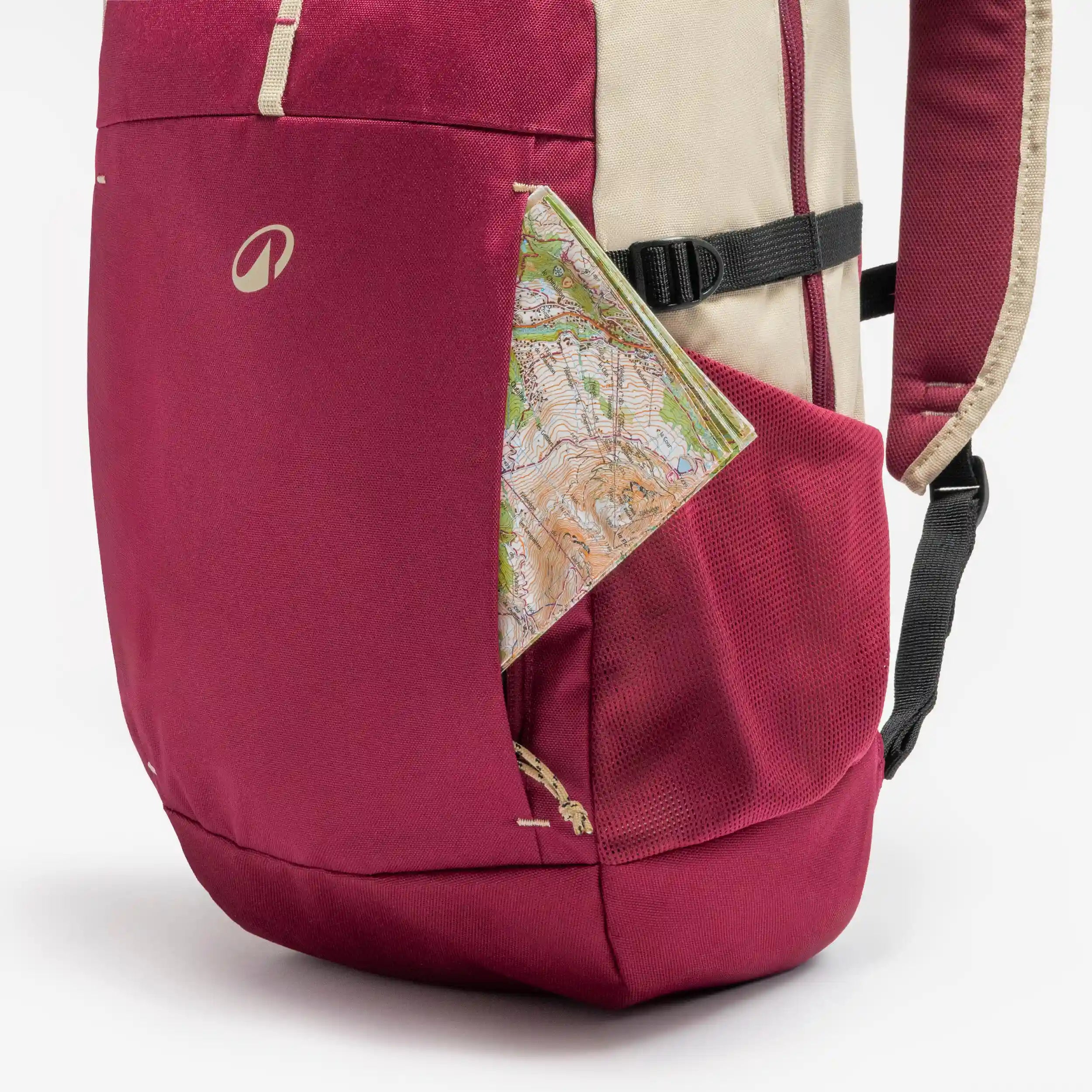 Slide image